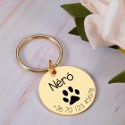 Kutya biléta - nemesacél 