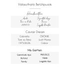 Kutyanév biléta - nemesacél